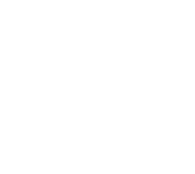 Ge Pro V W